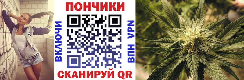 Купить наркоту Пласт A-PVP Меф Галлюциногенные грибы Гашиш