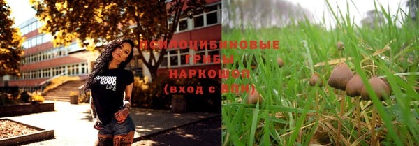 сатива Балабаново
