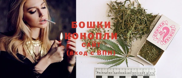 ГАЛЛЮЦИНОГЕННЫЕ ГРИБЫ Осташков
